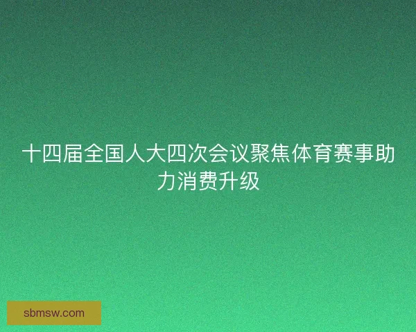 十四届全国人大四次会议聚焦体育赛事助力消费升级