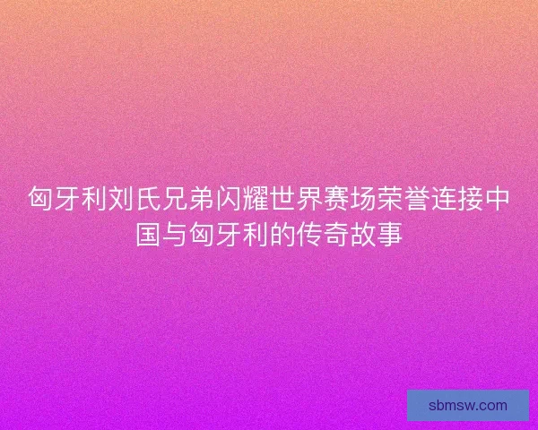 匈牙利刘氏兄弟闪耀世界赛场荣誉连接中国与匈牙利的传奇故事