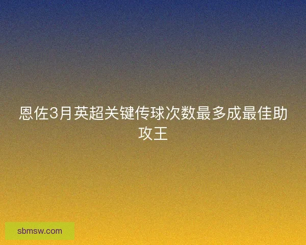 恩佐3月英超关键传球次数最多成最佳助攻王