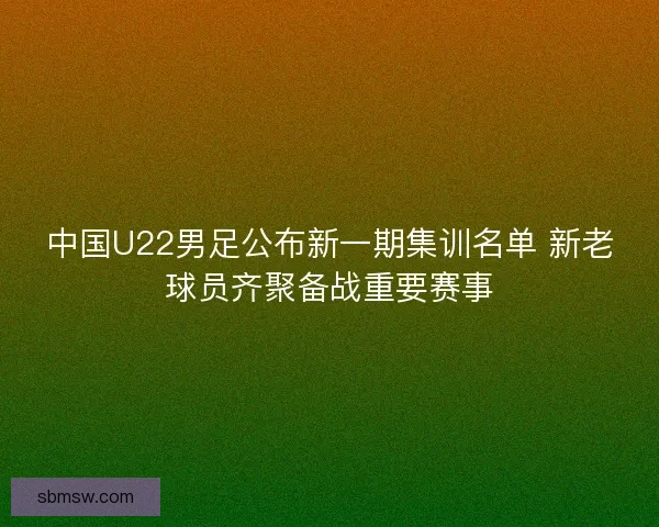 中国U22男足公布新一期集训名单 新老球员齐聚备战重要赛事