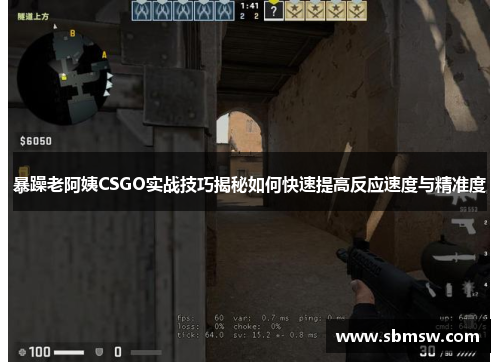 暴躁老阿姨CSGO实战技巧揭秘如何快速提高反应速度与精准度