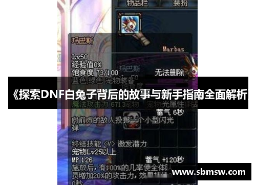 《探索DNF白兔子背后的故事与新手指南全面解析》